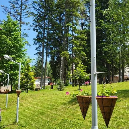 Apartment Pinewood Ang Luxurious A32 Borovets