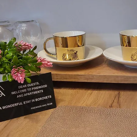 Pinewood Ang Luxurious A32 * Boroveț