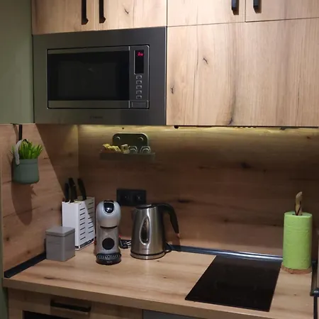 Pinewood Ang Luxurious A32 * Boroveț