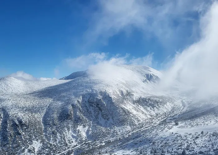 Apartament Pinewood Ang Luxurious A32