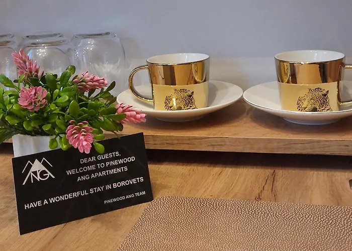 Pinewood Ang Luxurious A32 * Borovets